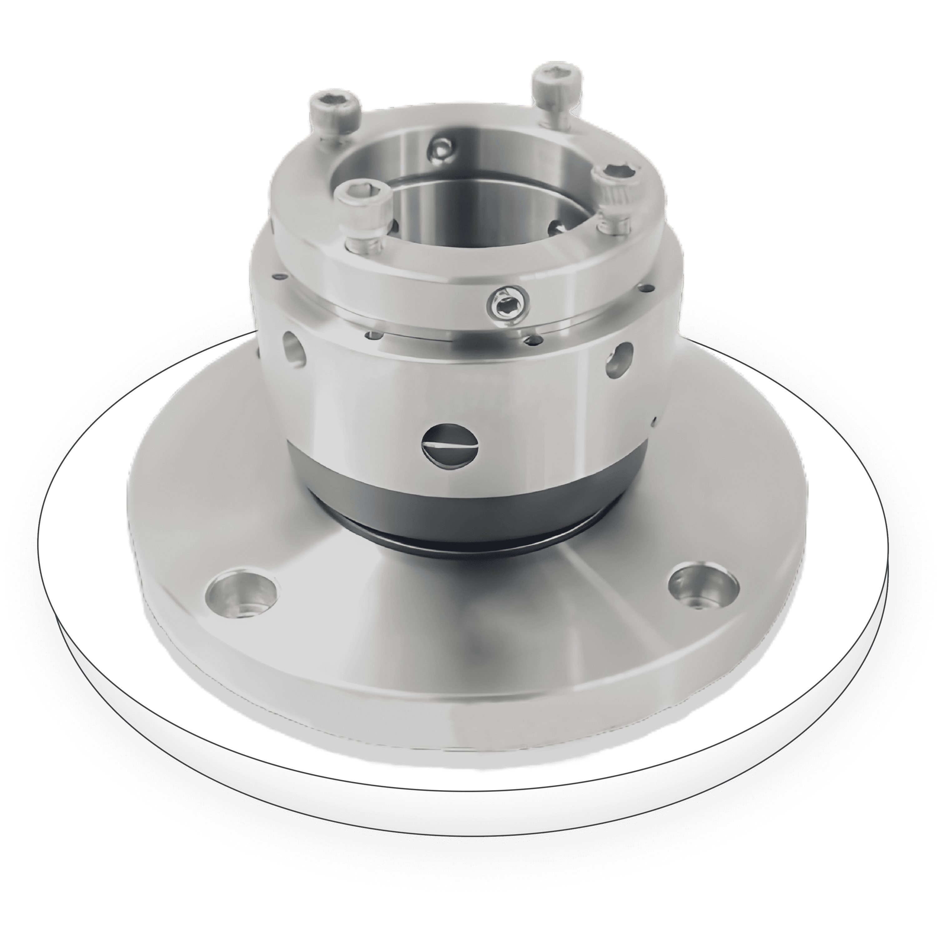 Agitator Dry Running Seal