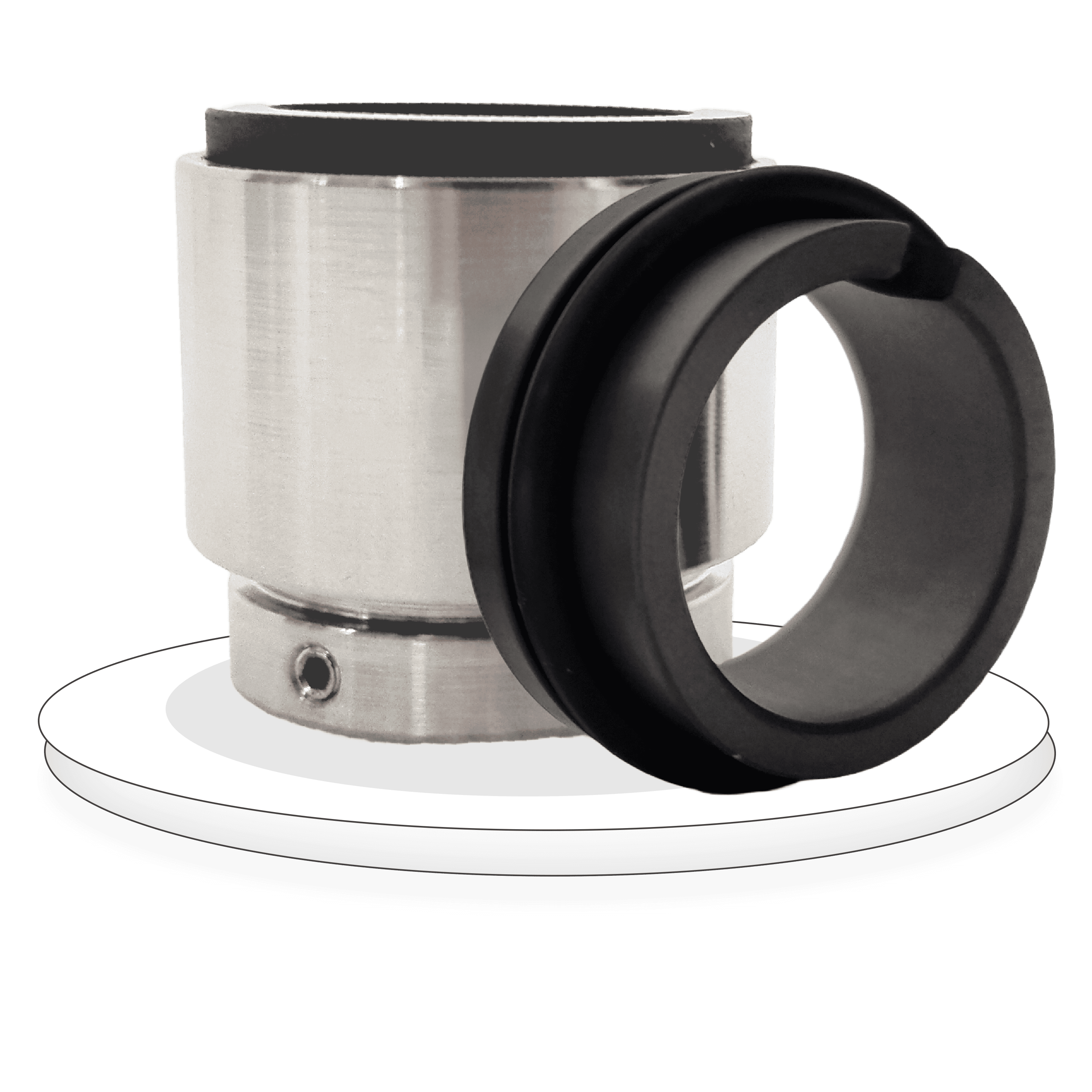 Capsulated Multi Spring Balanced Seal